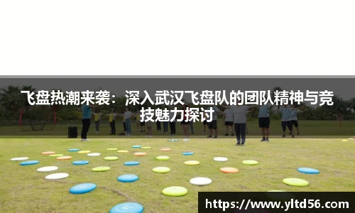 v66.com