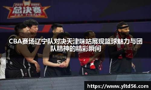 v66官网